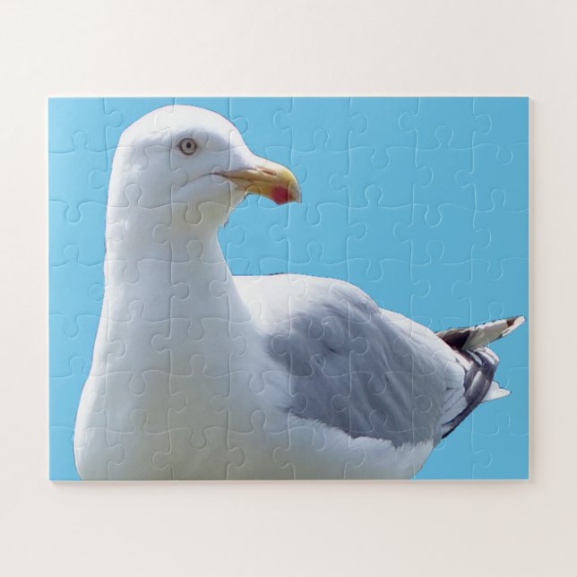 Seagull Laying Down  Jigsaw Puzzle (Horizontal)