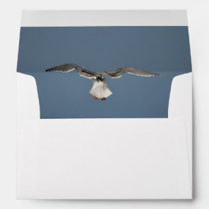 Seagull Leaves Envelope