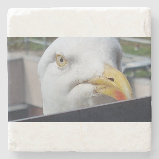 Seagull Looking Stone Coaster (Front)