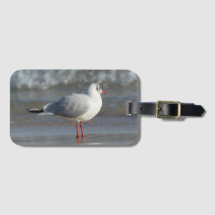 Seagull Luggage Tag