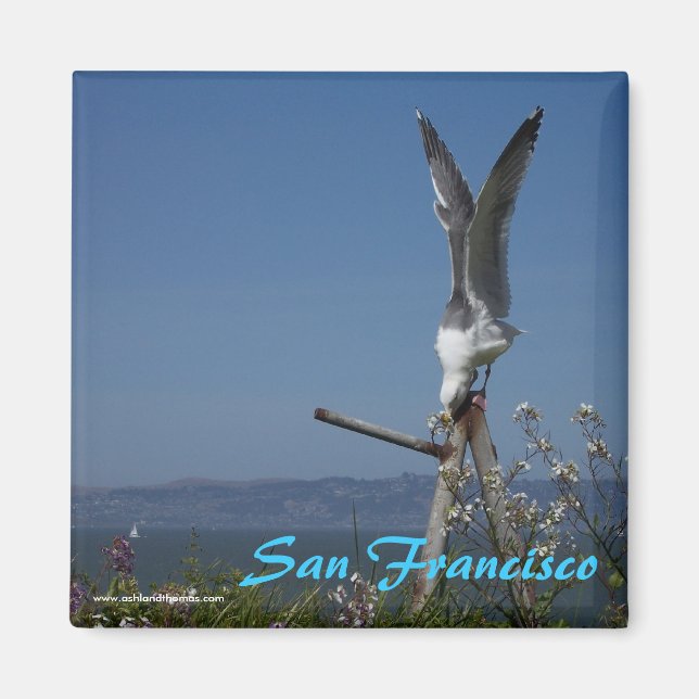 Seagull Magnet (Front)