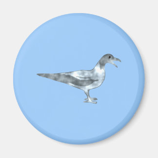 seagull magnet