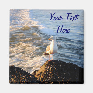 Seagull Magnet