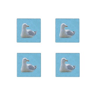 Seagull Marble Stone Magnet