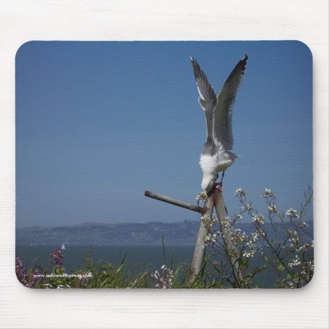 Seagull Mousepad (Front)