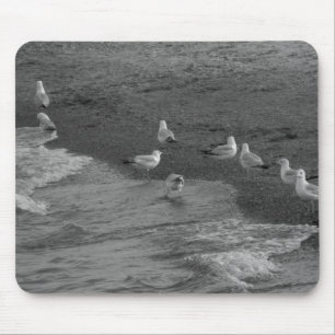 Seagull Mousepad