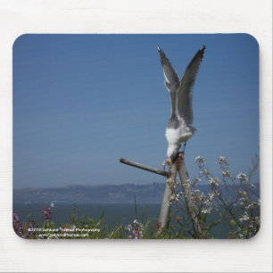 Seagull Mousepad
