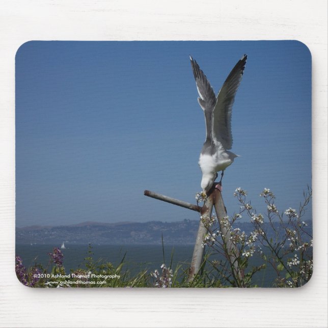 Seagull Mousepad (Front)