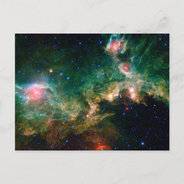 Seagull Nebula NASA Space Postcard (Front)