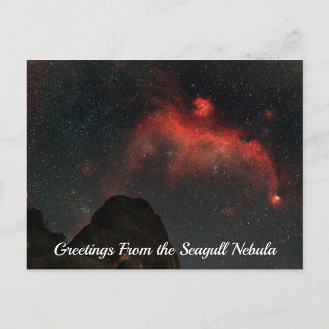 Seagull Nebula Postcard (Front)