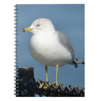 Seagull Notebook