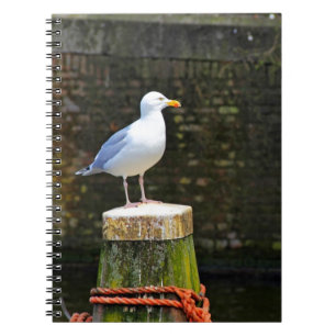 Seagull Notebook