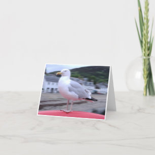 Seagull Notecard