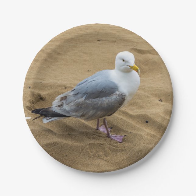 Seagull on a beach paper plate (Front)