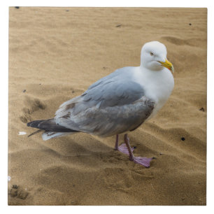 Seagull on a beach view ceramic tile