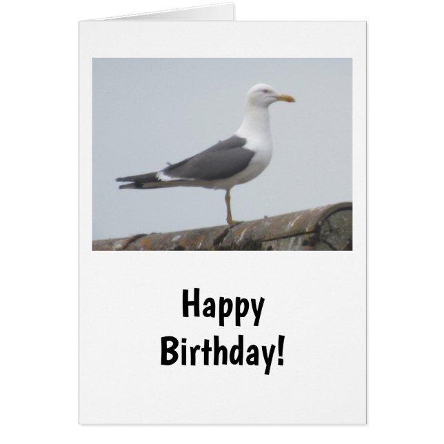 Seagull on a Birthday Card (Front)