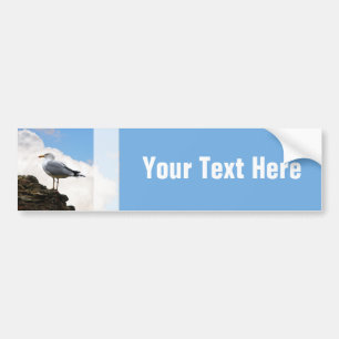 Seagull on a Brick-Wall in Rome Bumper Sticker
