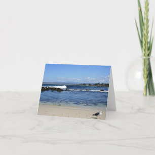 Seagull on Beach, Blank Note Card