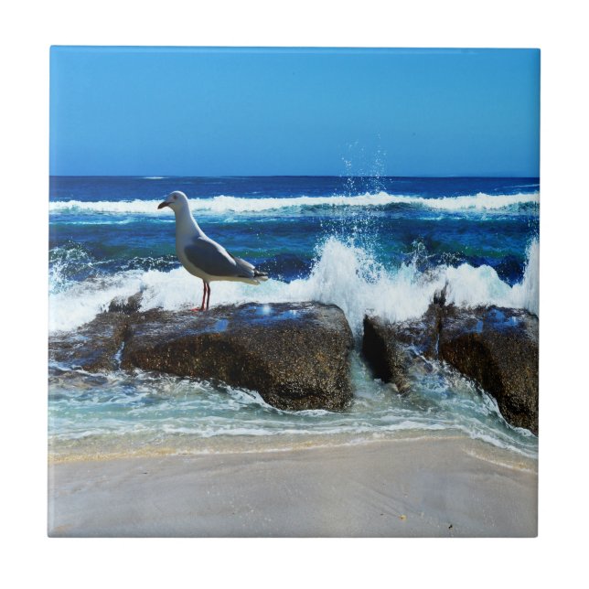 Seagull On Beach Rocks, Tile (Front)