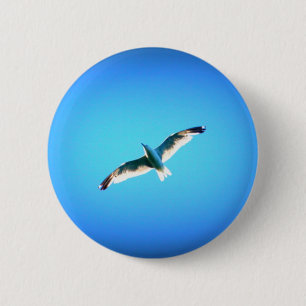 seagull on blue button