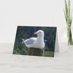Seagull on Garden Fence Post Charming Bird Art Card