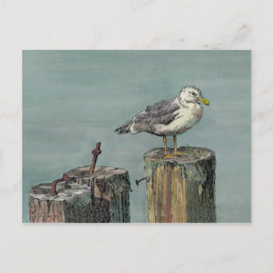 SEAGULL on PILING by SHARON SHARPE Postcard