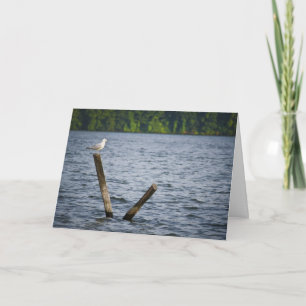 Seagull on Post Greeting Card. Card