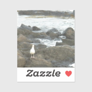 Seagull on rocks