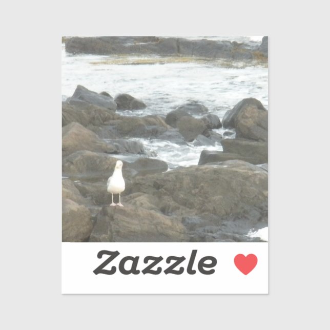 Seagull on rocks (Sheet)