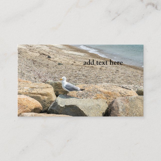 seagull on rocks by a beach business card (Front)
