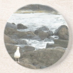 Seagull on rocks coaster