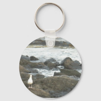 Seagull on rocks key ring