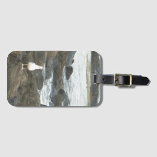 Seagull on rocks luggage tag