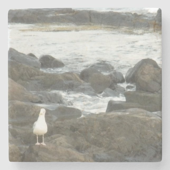 Seagull on rocks stone coaster (Front)