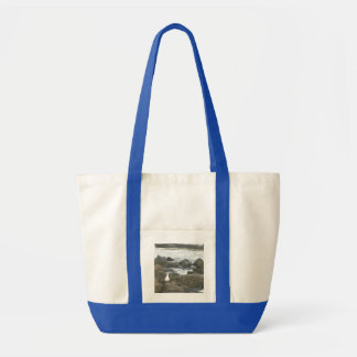 Seagull on rocks tote bag
