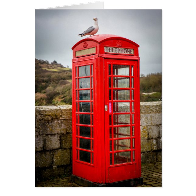 Seagull on Telephone Box (Front)