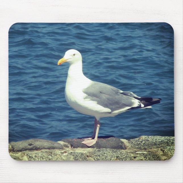 Seagull On The Bay Mouse Mat (Front)