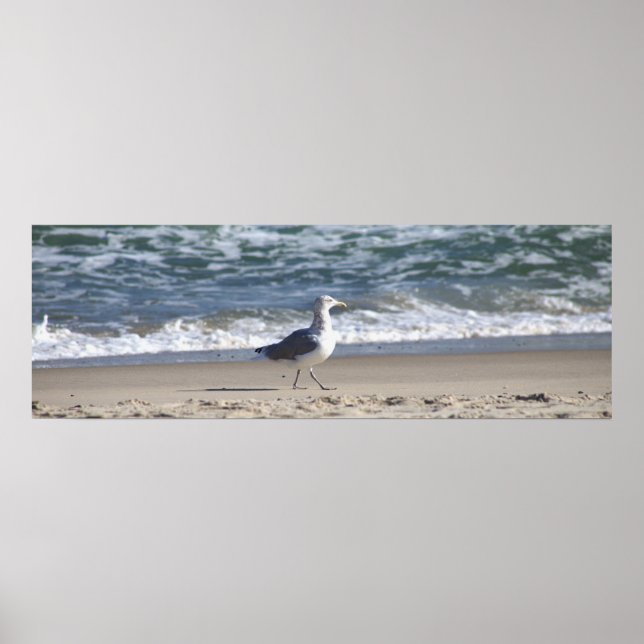 Seagull on the Beach Poster (Front)
