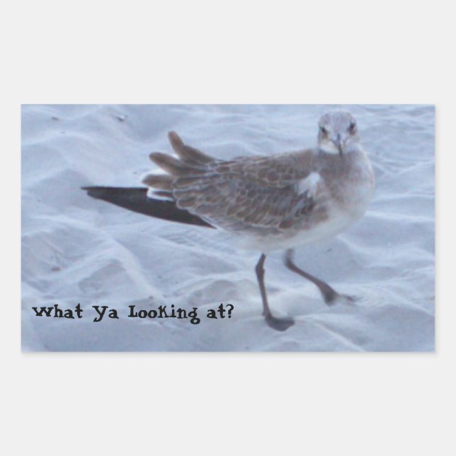 Seagull on the Beach Stickers (Front)