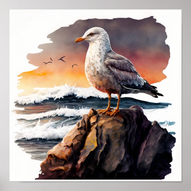 Seagull On The Rock Poster (Front)