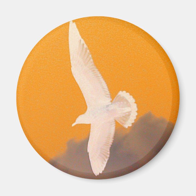 Seagull Orange Magnet (Front)