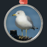 Seagull Ornament<br><div class="desc">This seagull was resting on a fence in Old Saybrook. Great gift for anyone who love birds or the beach</div>