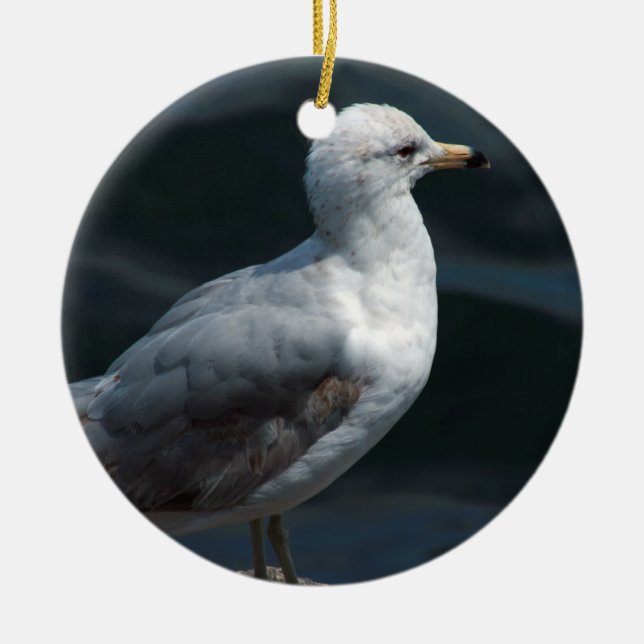Seagull Ornament (Front)