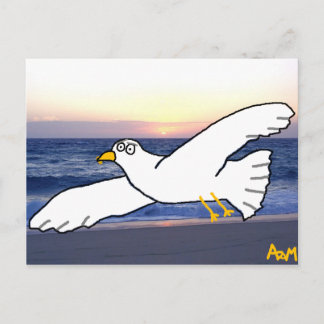 Seagull over the bay postcard