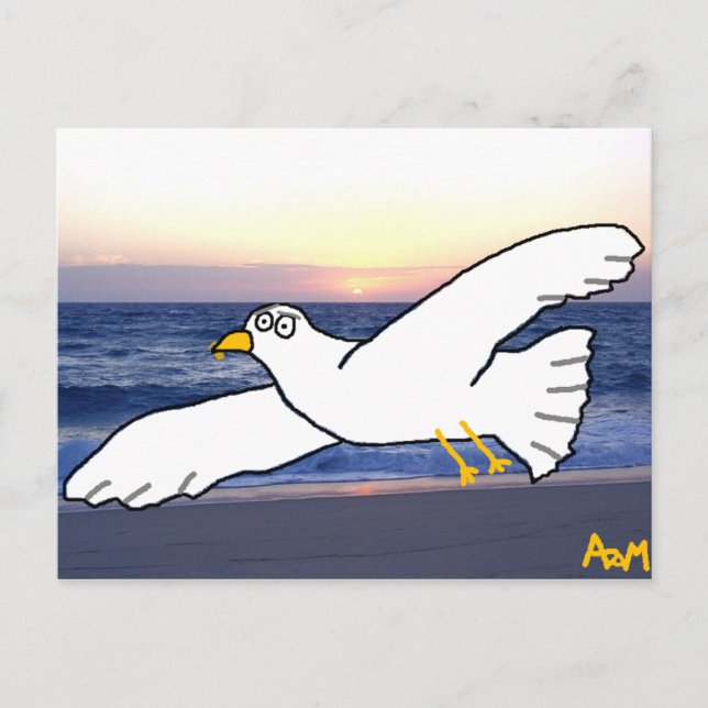Seagull over the bay postcard (Front)