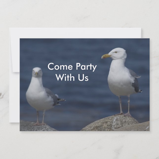 Seagull Party invitation (Front)