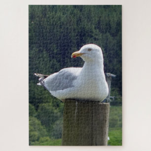Seagull Perched on Fence Post Coastal Bird Jigsaw Puzzle