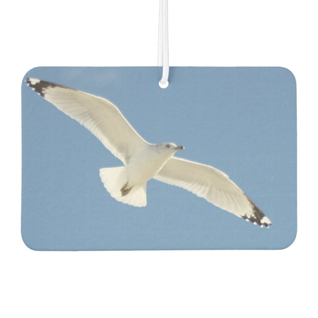 Seagull photo car air freshener (Front)