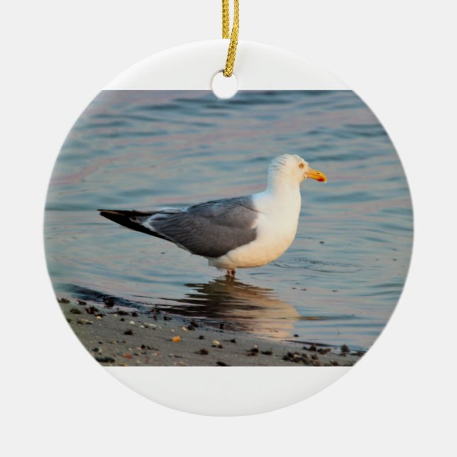 Seagull Photo Ceramic Tree Decoration (Front)
