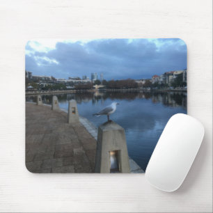 Seagull Photo Mouse Mat